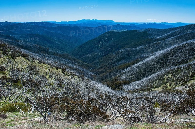 Overlooking the Victorian Alps mountain range