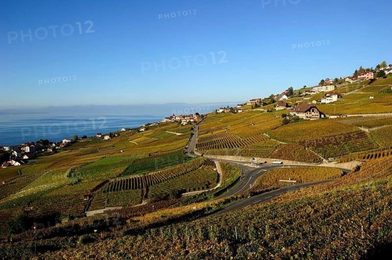 The vineyards of Lavaux on Lake Geneva