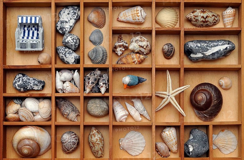 Shells