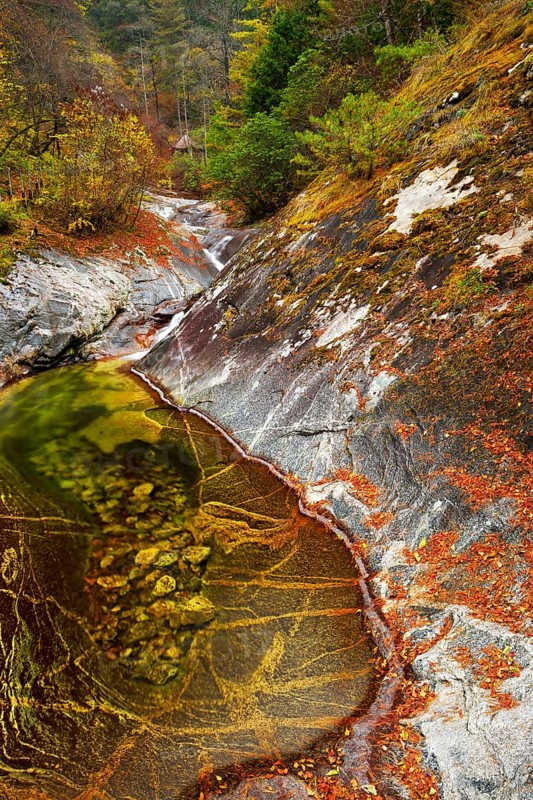 Wild river in autumn landscape