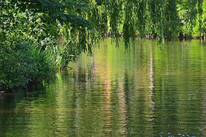 Moat