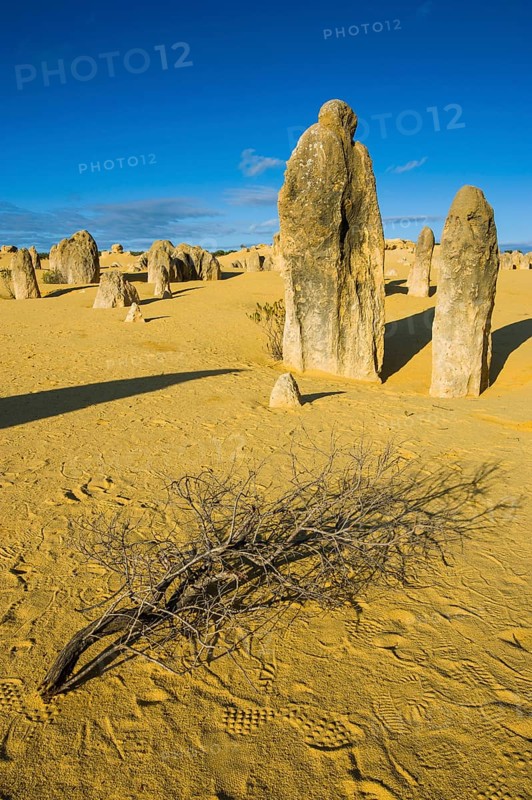 The Pinnacles limestone formations
