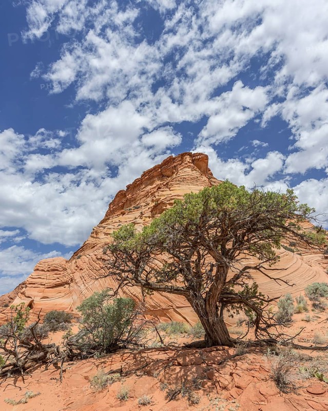 Rock formations of the Teepees