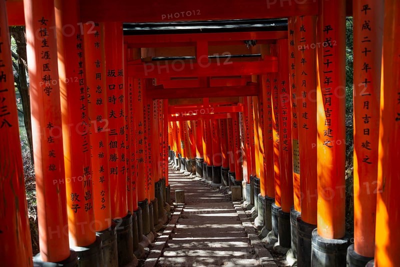 Fushimi Inari Taisha