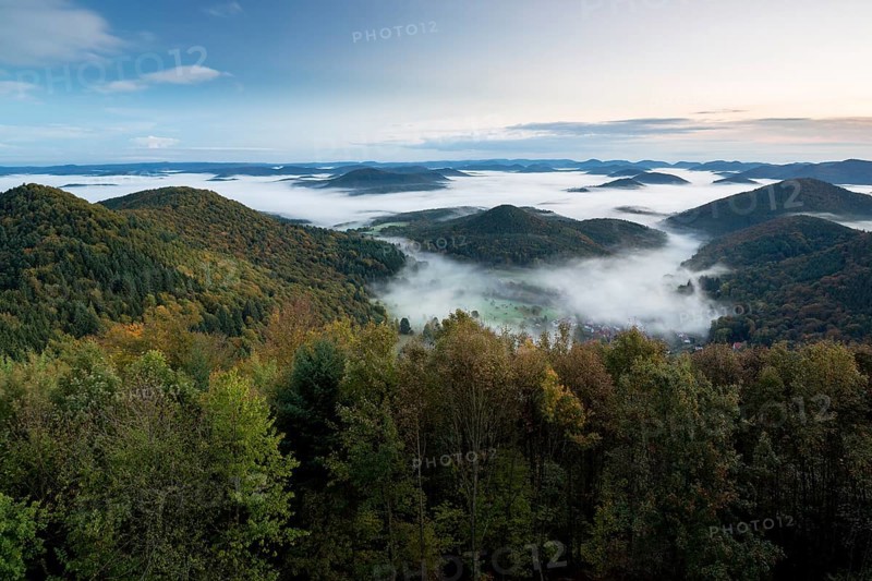 View of the Palatinate Forest from Wegelnburg Castle