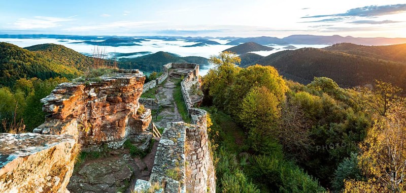 View of the Palatinate Forest from Wegelnburg Castle
