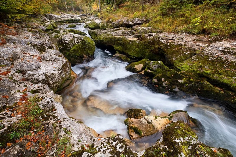 Mountain stream Mostnica in autumn