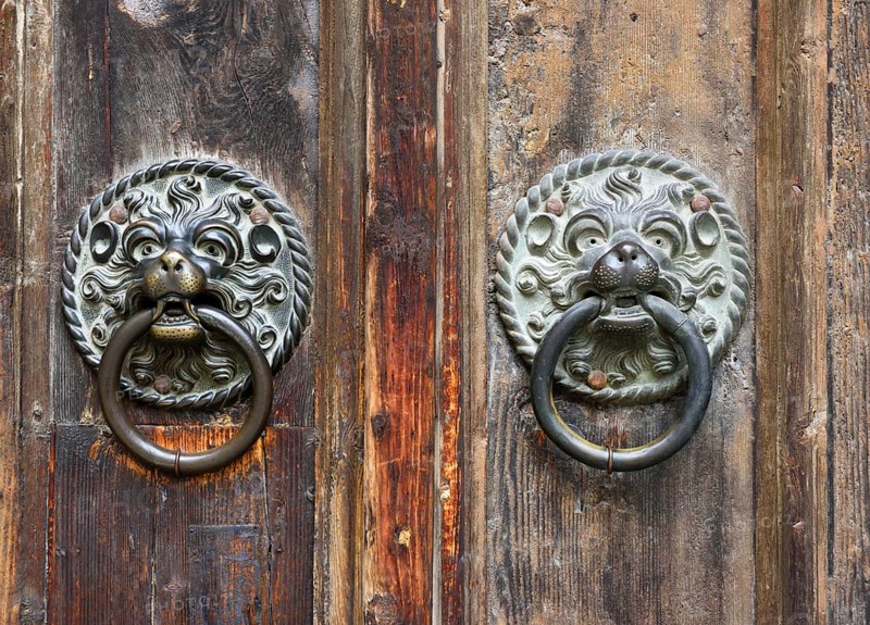 Bronze door handles in the shape of lions' heads