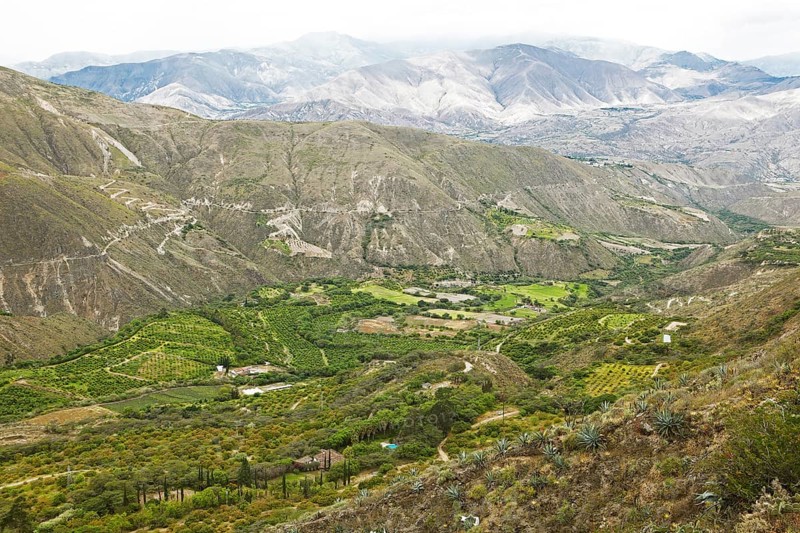 Agricultural landscape in the Chota Valley