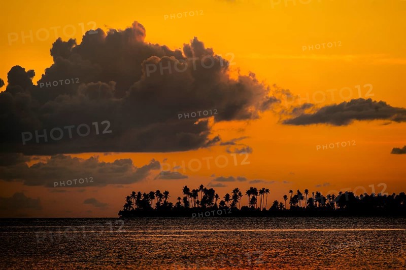 Sunset and an island with palm trees