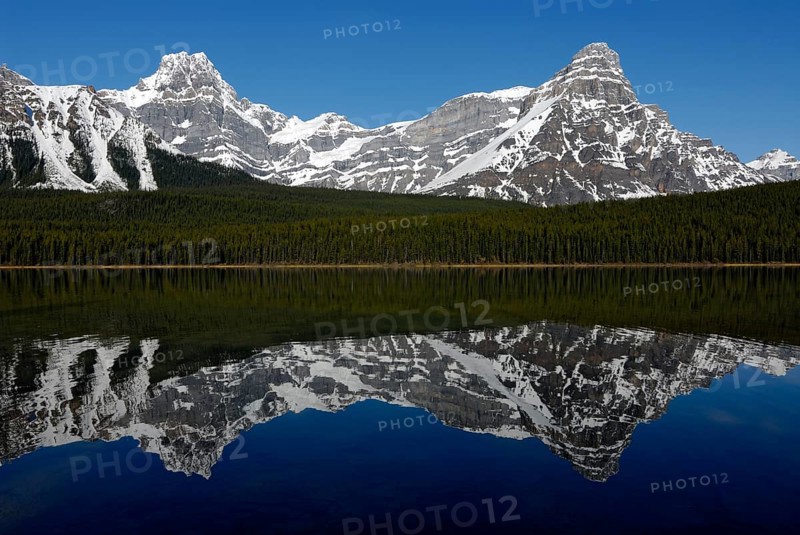 Howse Peak and Mount Chephren