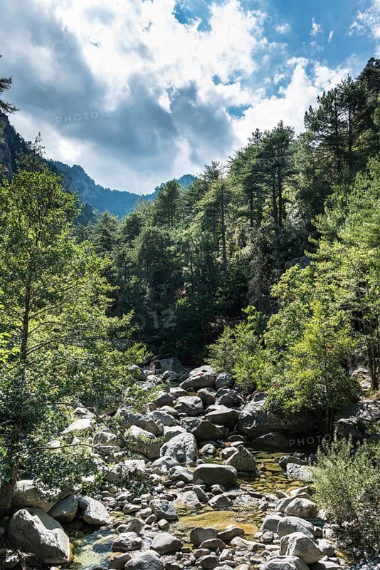 Riverbed of the Tavignano