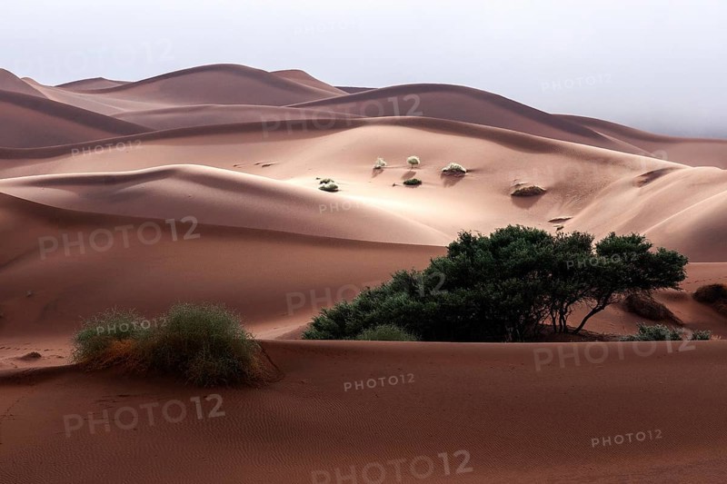 Sand dunes