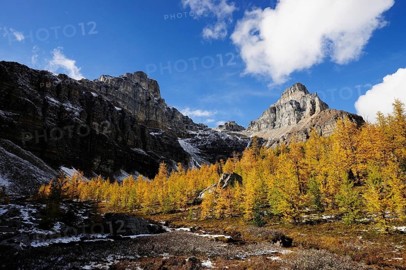 Hike from Moraine Lake to Larch Valley
