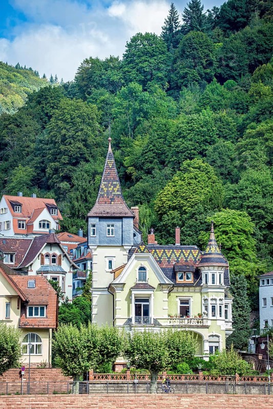 Historic buildings on the banks of the Neckar river