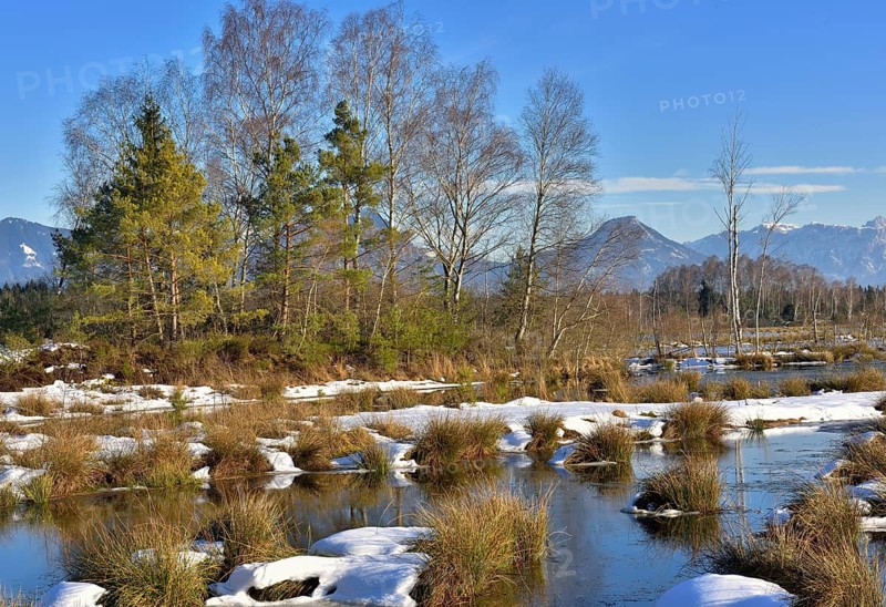 Moorlands in winter