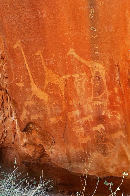 Rock engravings