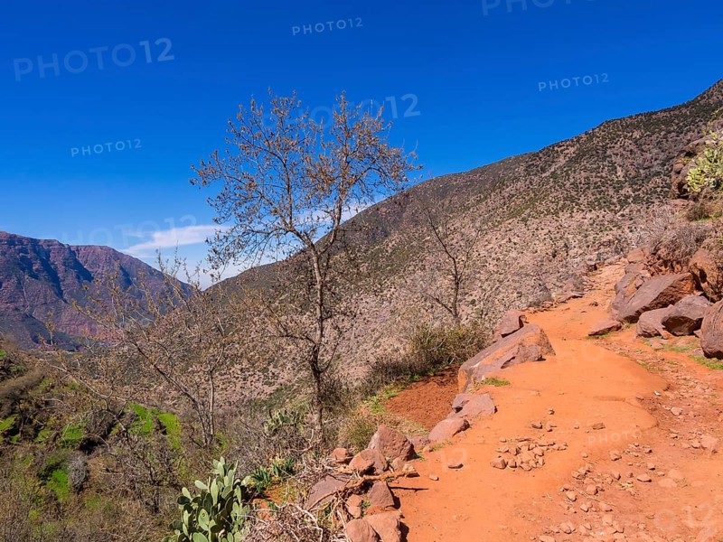 Dirt path in the Ourika Valley