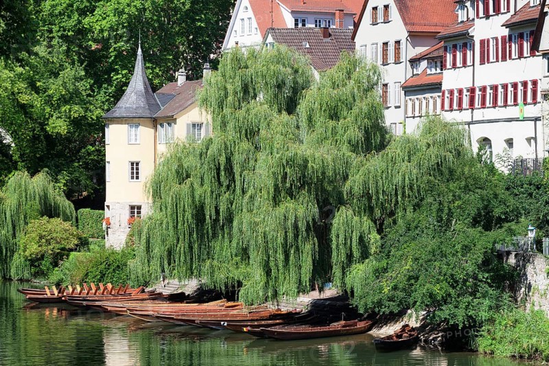 Holderlin Tower and punts on the Neckar river