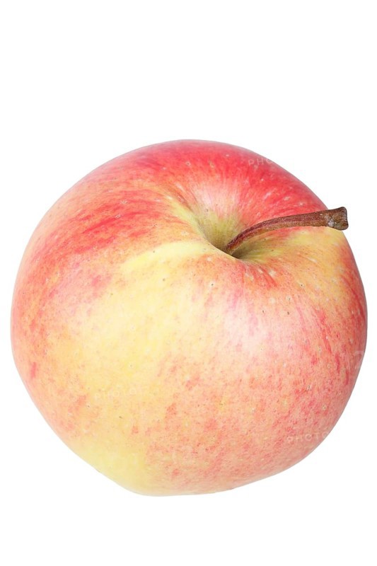 Apple variety Pinova