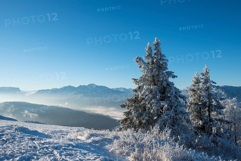 Wintry view from the Gaisberg of the Salzach Valley and the Hohen Goll