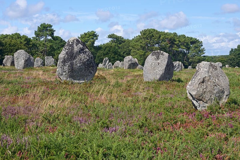 Carnac stones