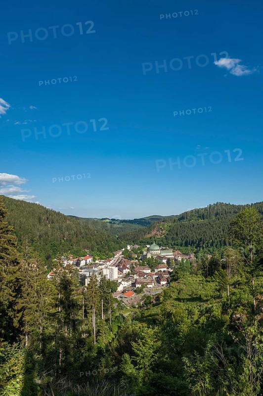 View from Mt Weissenstein