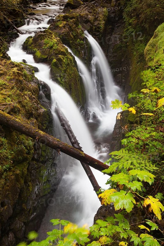 Sol Duc Falls in the Sol Duc River Valley