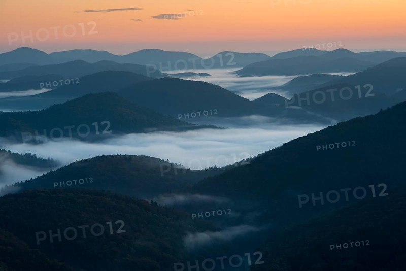 Palatinate Forest