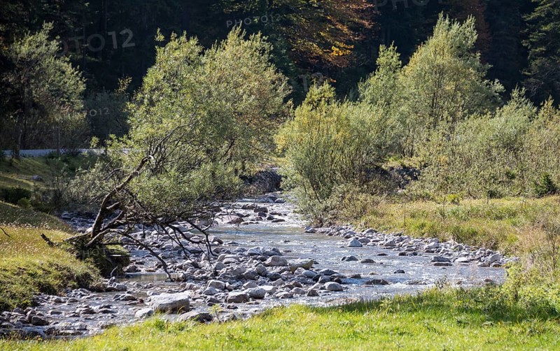 Mountain stream