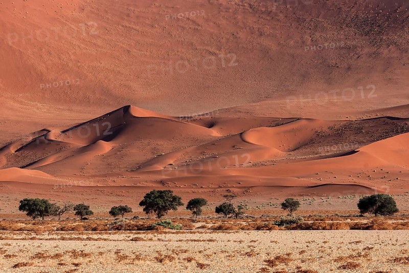 Sand dunes