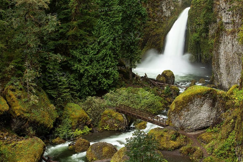 Wahclella Falls in the Columbia River Gorge
