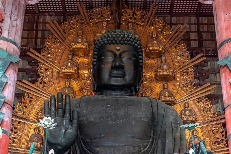 Big Buddha Statue in Todaiji Temple