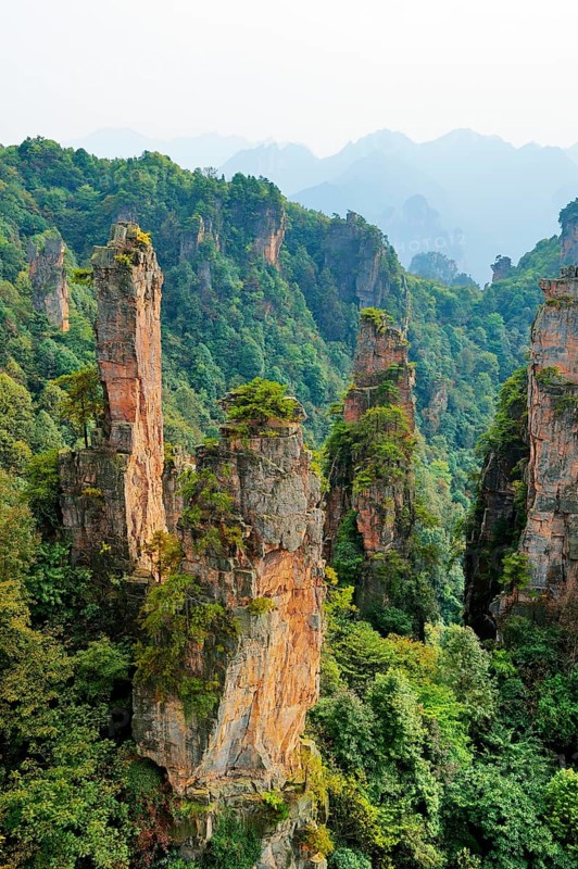 Tianzishan mountain with vertical rock columns of quartz sandstone