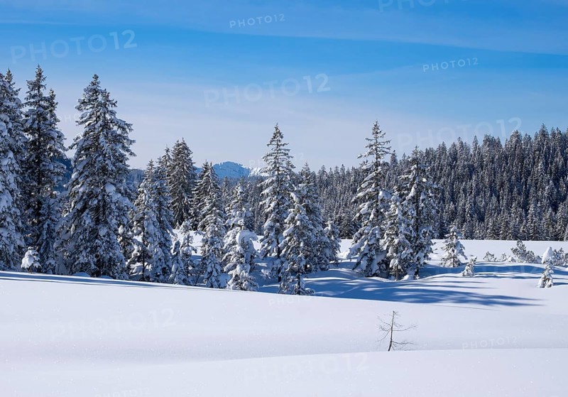Winklmoosalm alp
