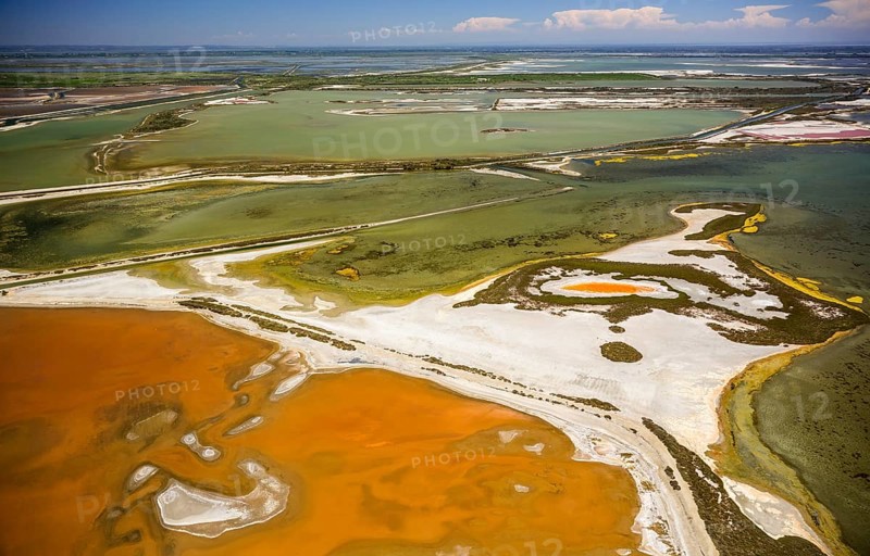 Salt patterns on the surface of the salines of Le Grau-du-Roi