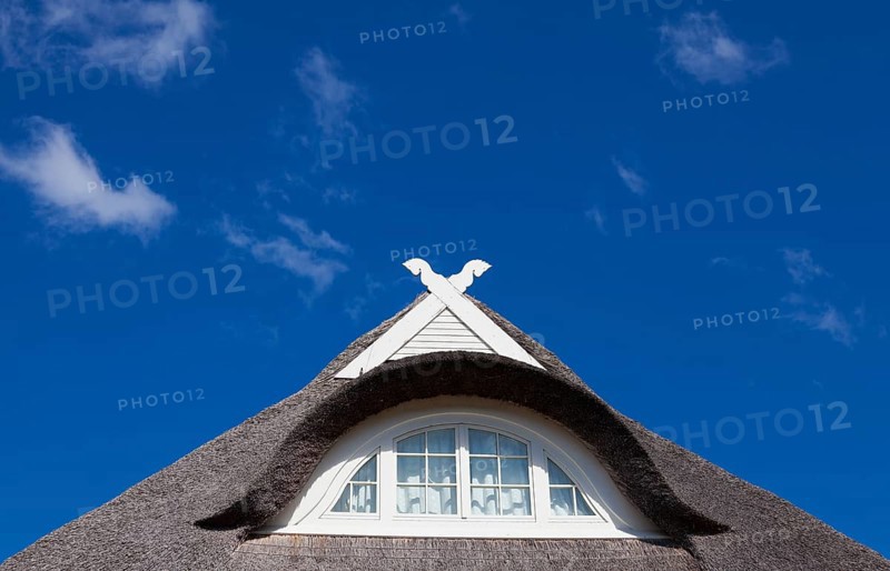 Detail view of a thatched roof with dormer and Lower Saxony horses of a new building against a blue sky
