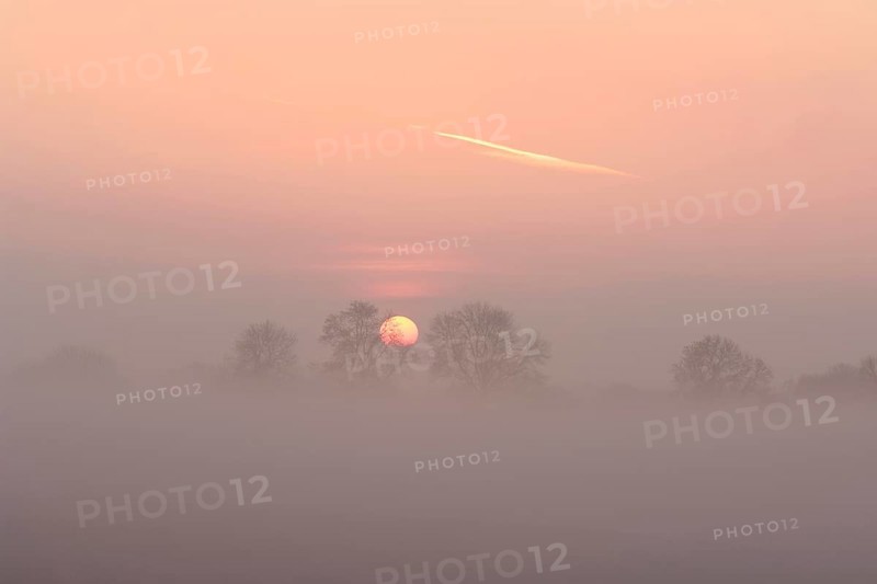 Sunrise with trees and fog