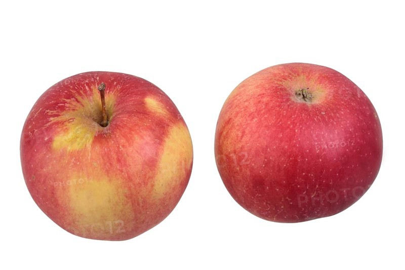 Idared apple variety