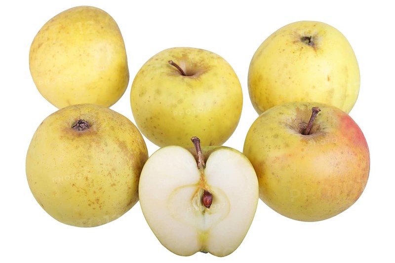 Apple variety Yellow Saxon Reinette