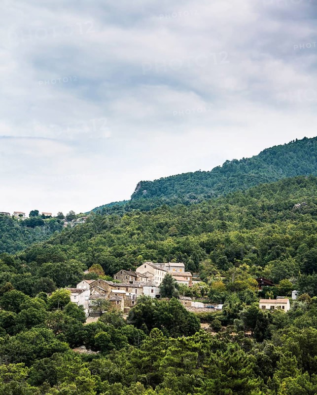 Small mountain village in the forest
