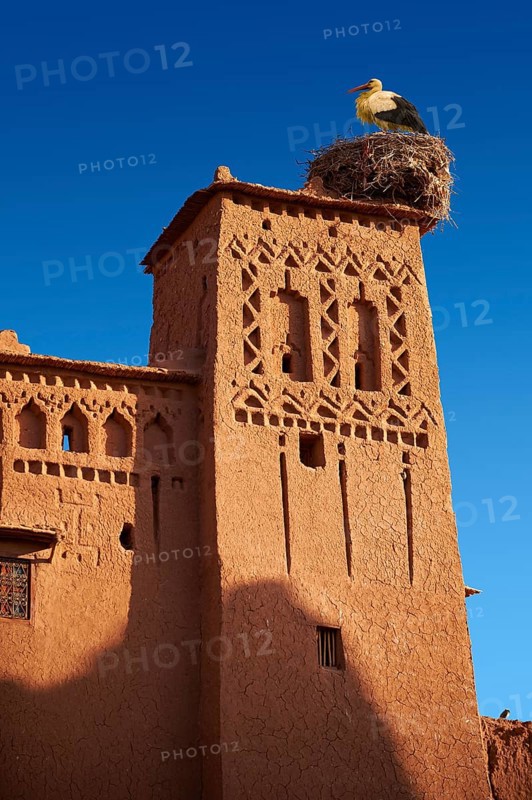 Stork's nest on the mud buildings of the fortified Berber Ksar of Ait Benhaddou
