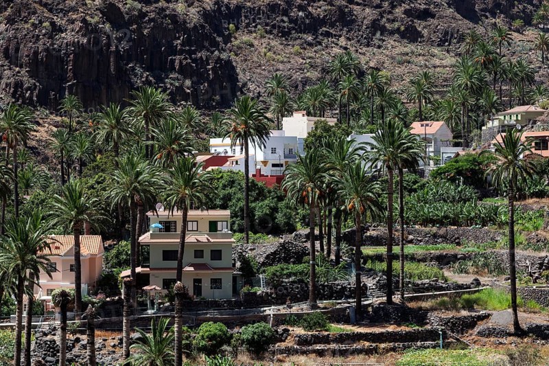 Palm trees and houses of El Guro