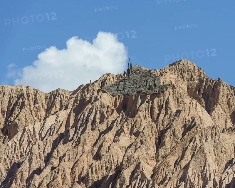 Rugged mountain with cacti