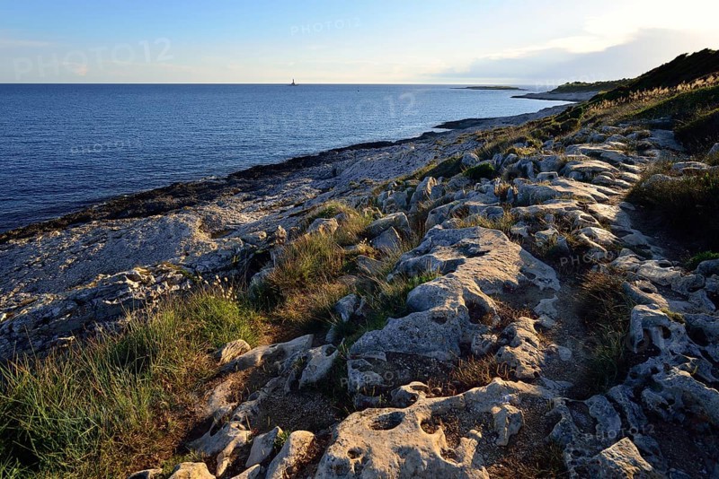Coast in the evening light