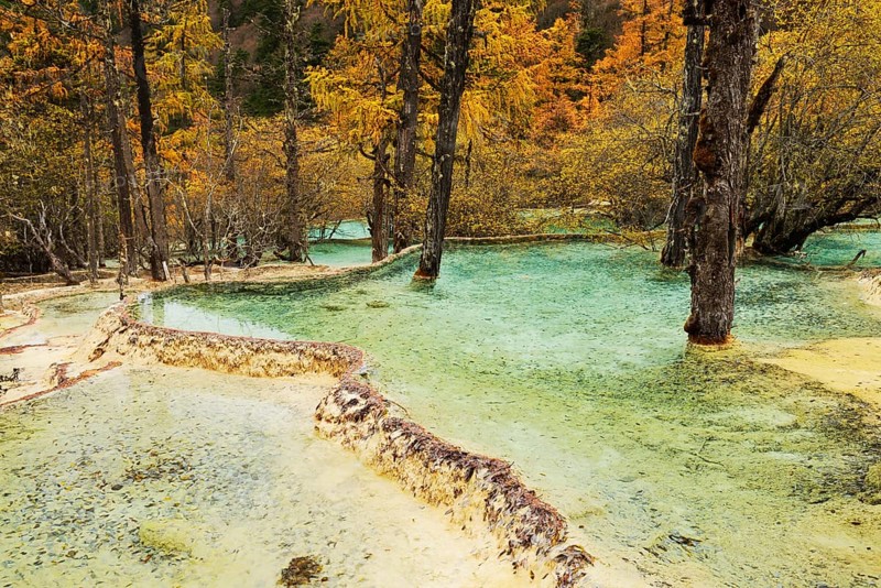 Lime terraces with lake in autumnal environment