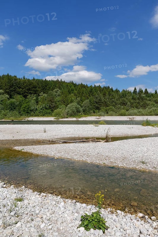 Isar river