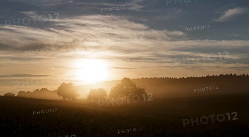 Sunset with dust from harvesting