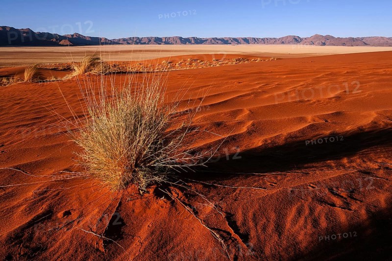 Southern foothills of the Namib desert