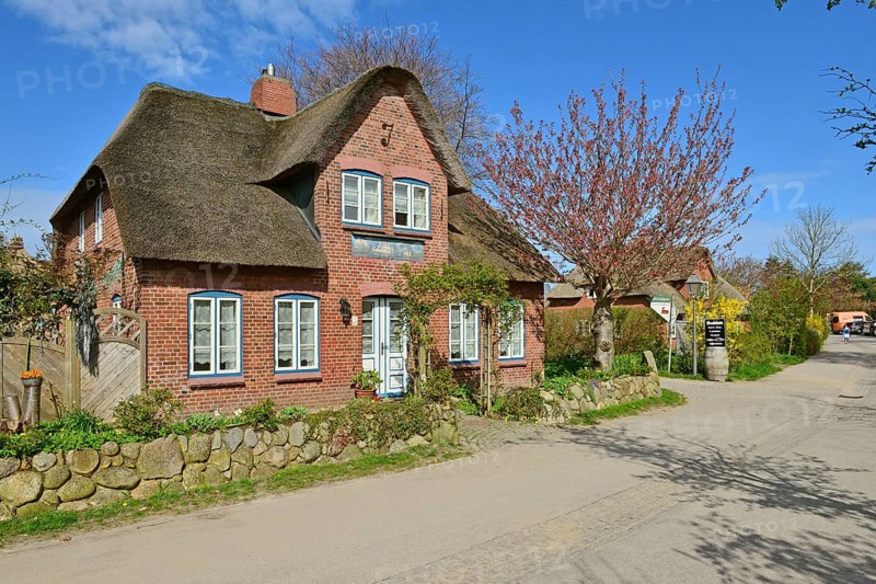 Frisian house in Frisian village Nebel